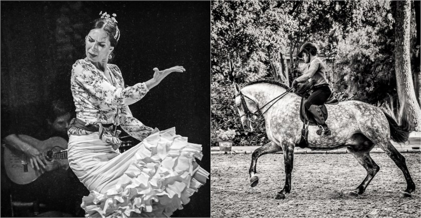 Flemenco (left), Equestrian School (right)