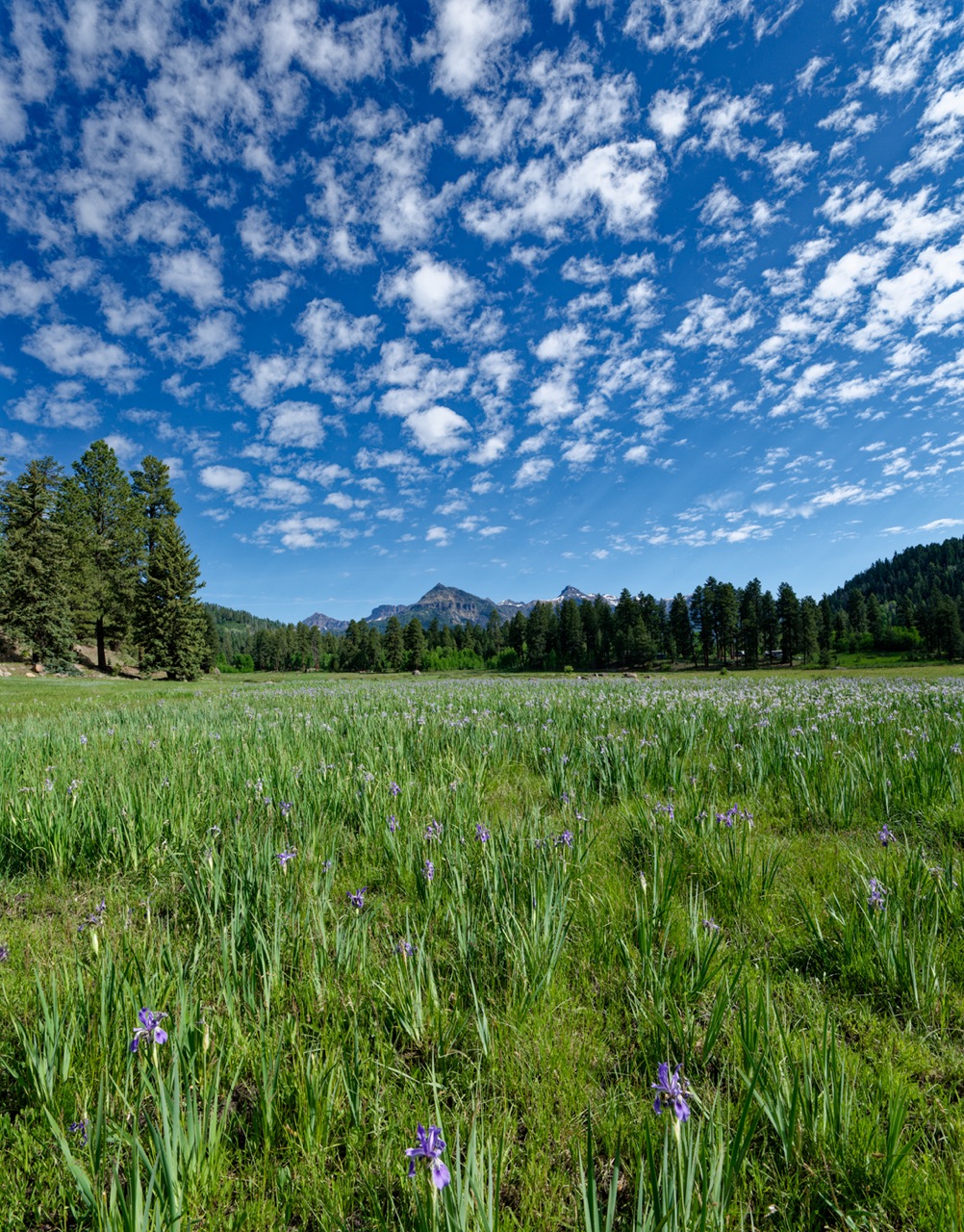 Williams Creek Reservoir Outing – Pagosa Springs Photography Club