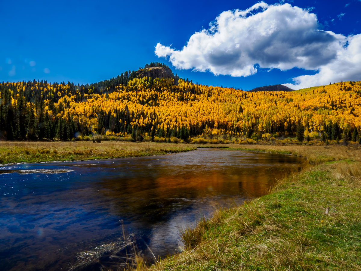 Fall Color in the San Juan Mountains of Colorado